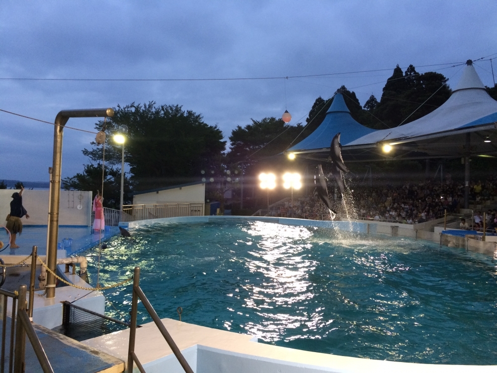 石川県「のとじま水族館」の魅力その③　夜の水族館もすてき♡
